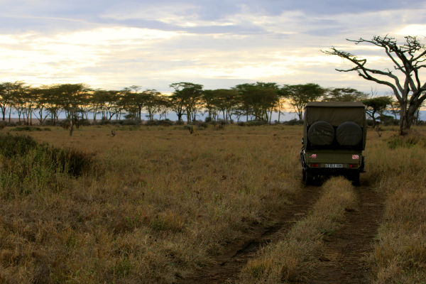 Bezoek Namiri Plains in de Serengeti in Tanzania