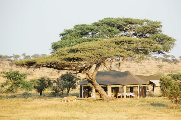 Namiri-Plains-Serengeti-Oosten-Tanzania-Camp