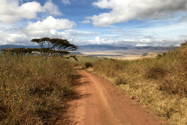 on-the-road-ngorongoro-krater-noord-tanzania