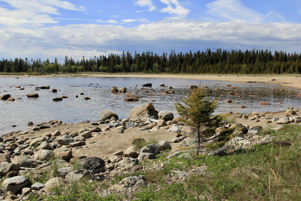 Bjroklubb Nature Reserve in Zweeds Lapland