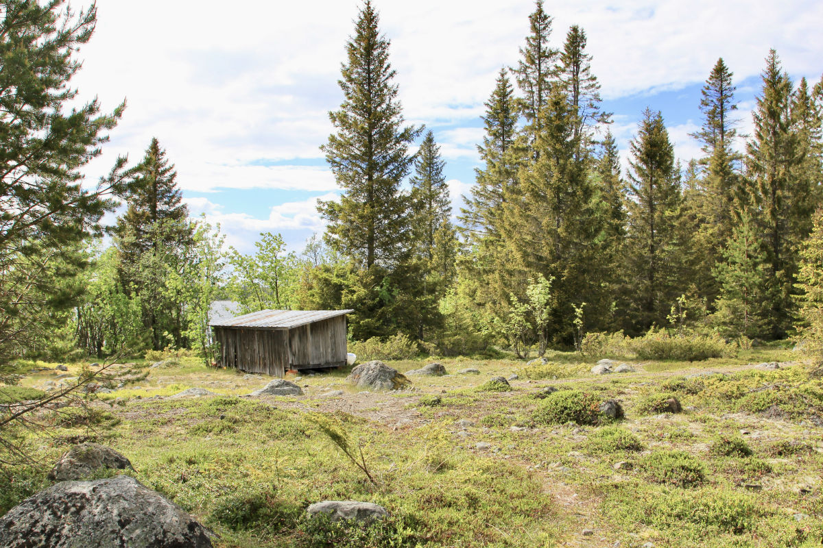 Prachtige natuur op Pite-Ronnskar in zomers Zweeds Lapland