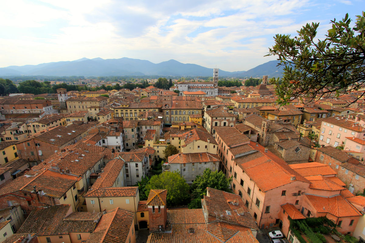 Uitzicht vanaf de Torre dei Guinigi in Lucca Toscane Italie