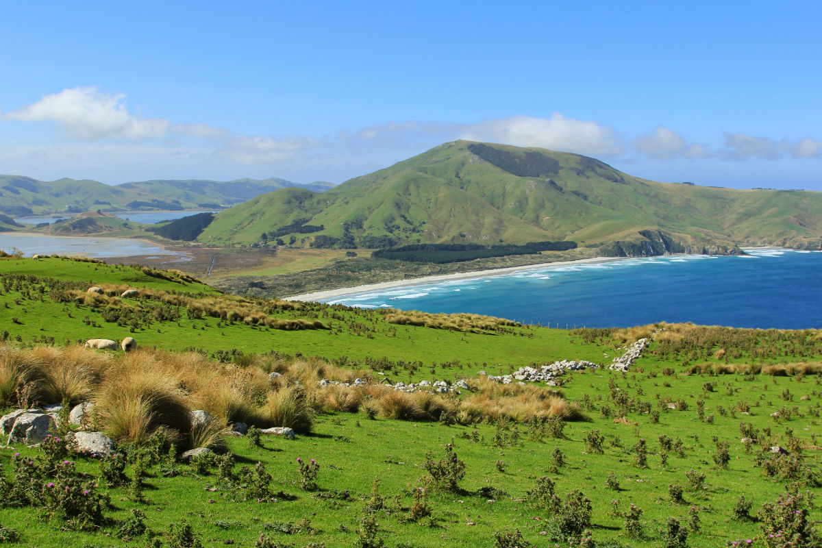 Otago Peninsula in het zuiden van Nieuw Zeeland