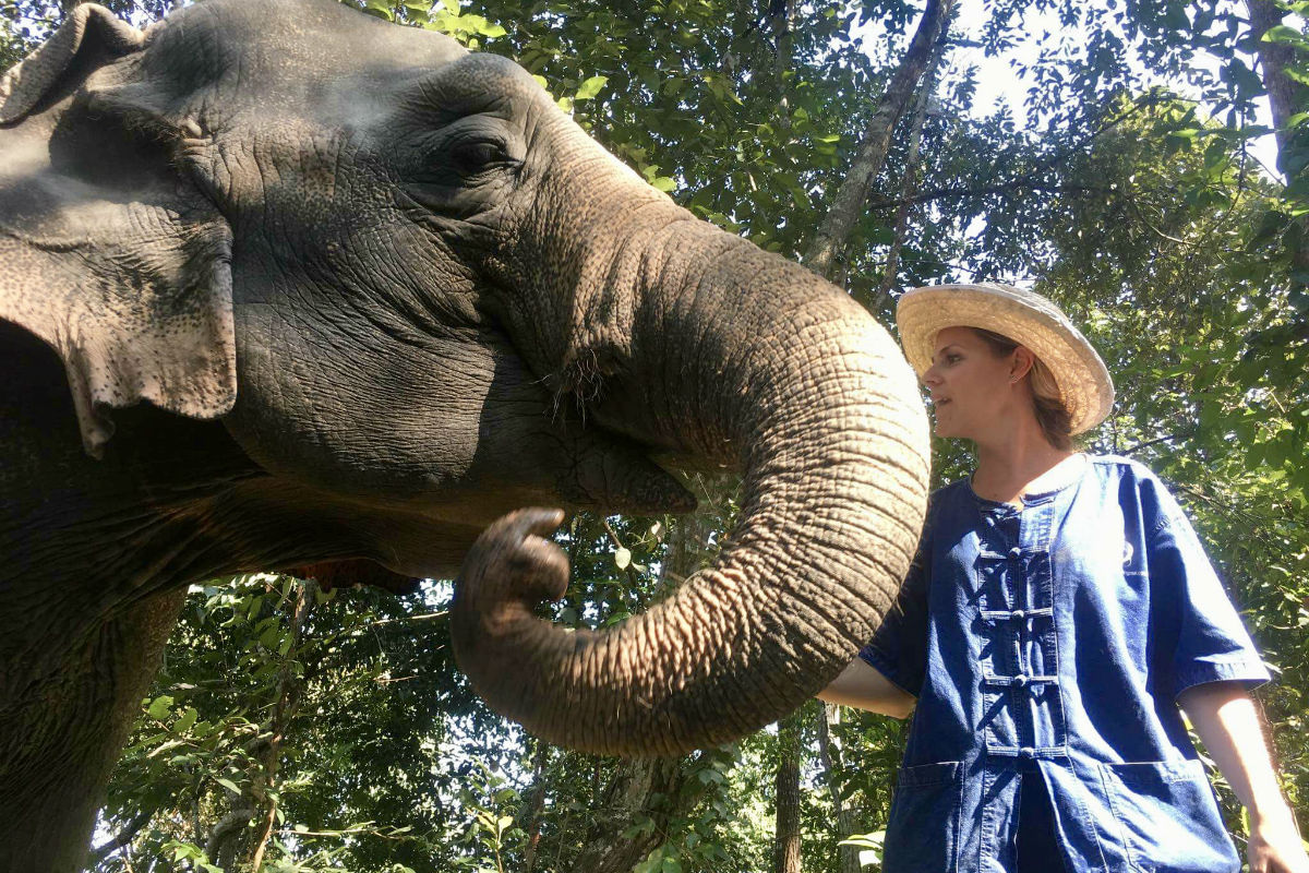 Doen in Chiang Mai - Als een heuse mahout op pad met mijn olifant in de jungle