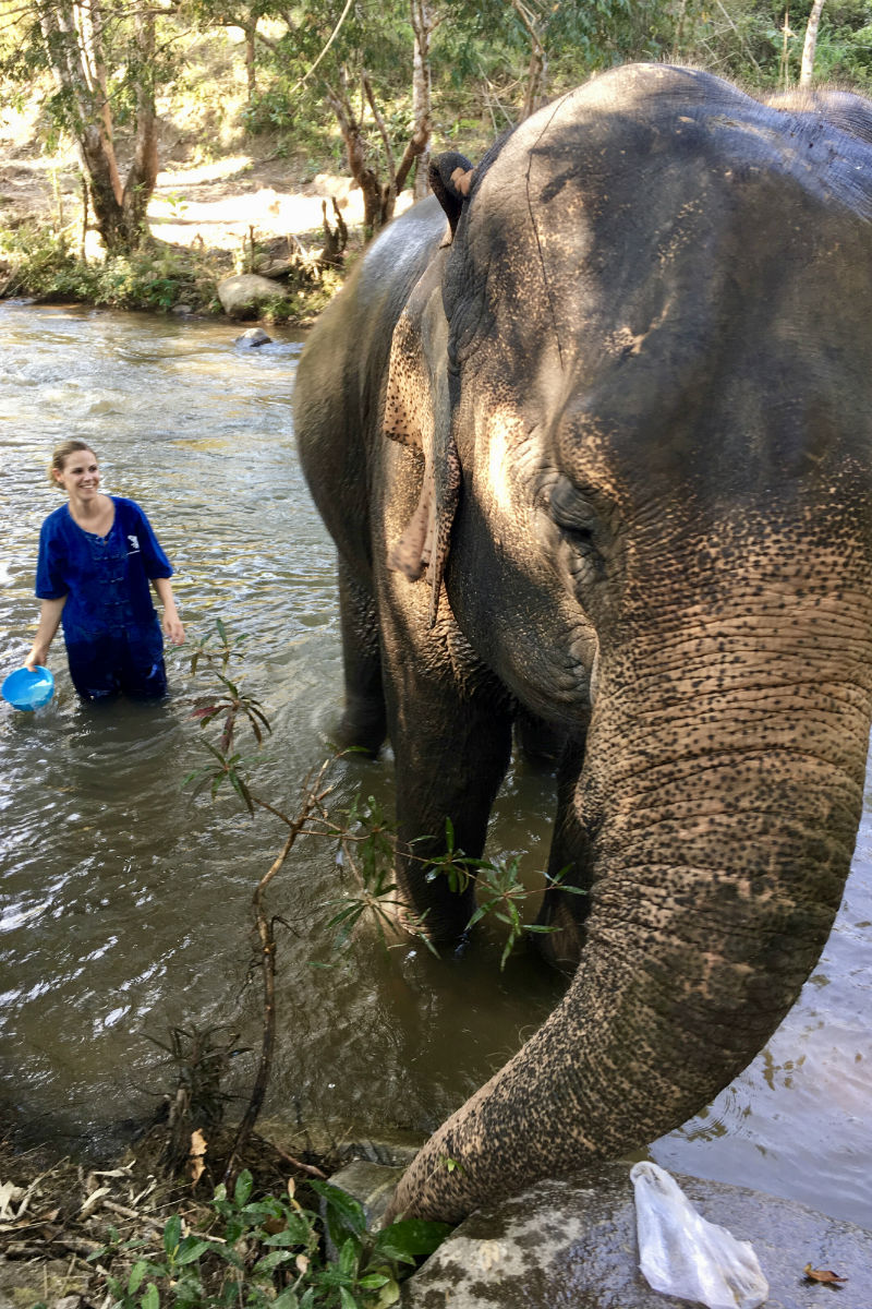 Doen in Chiang Mai - badderen met een olifant