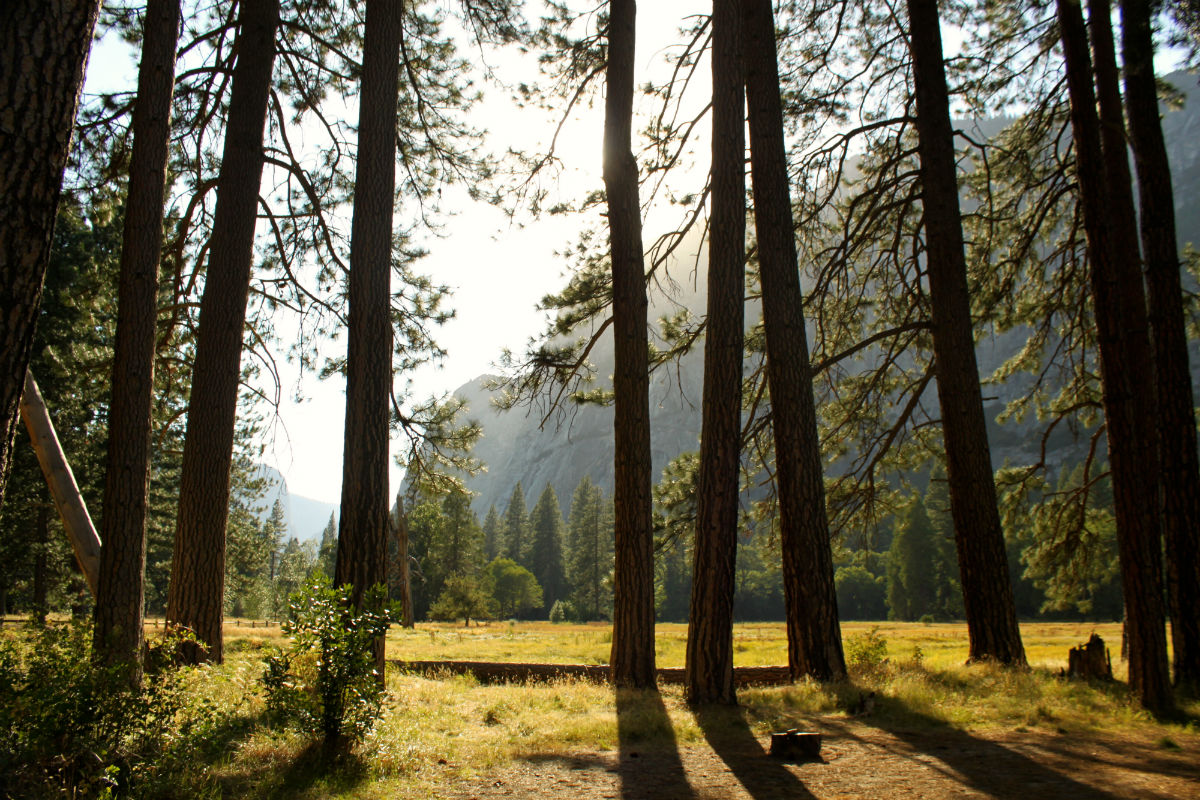 Yosemite National Park is ook een geweldige plek in West Amerika en een absoluut bucketlist item