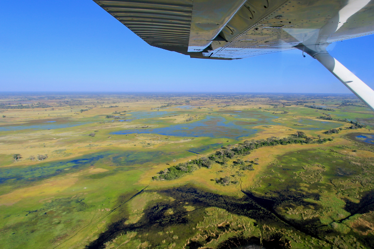 De prachtige Okavango Delta in Botswana hoort op een ieder zijn bucketlist