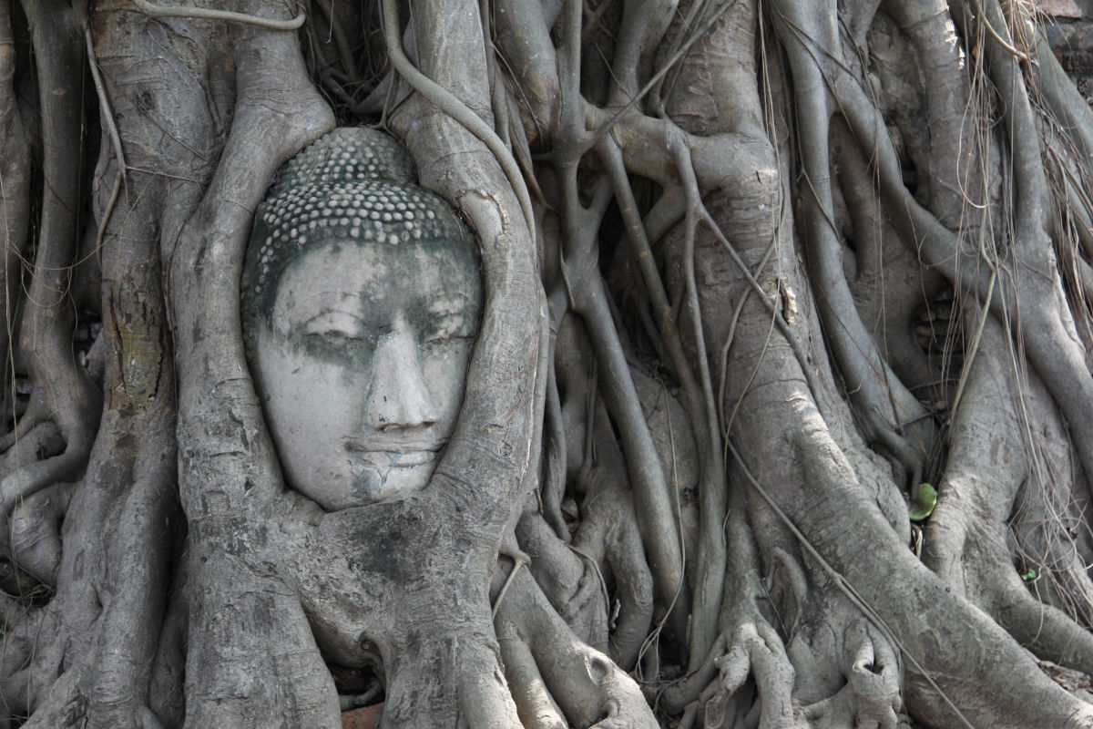 Thailand bezoeken en de prachtige tempels van Ayutthaya ontdekken