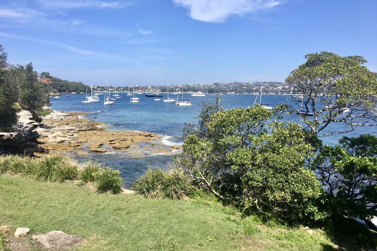 To do in Sydney wandel van Rose Bay naar Watson Bay en geniet van de uitzichten