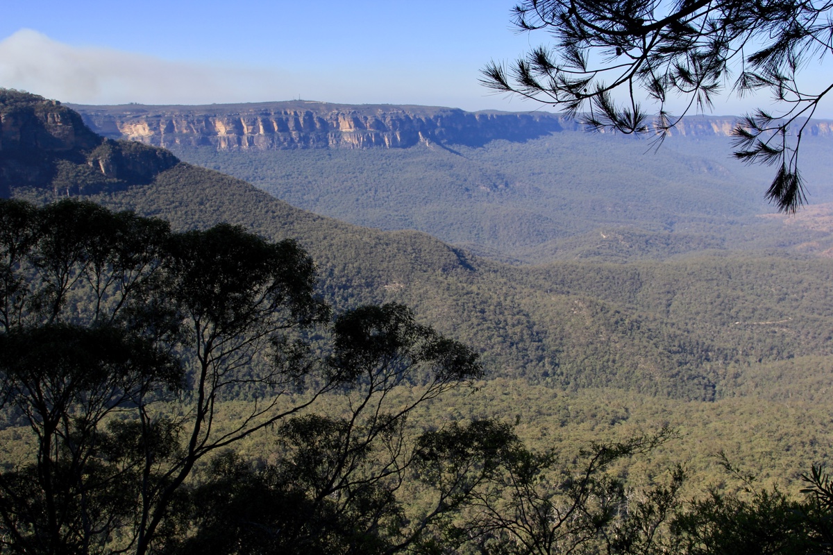 De Blue Mountains zijn een highlight van je route Melbourne naar Sydney