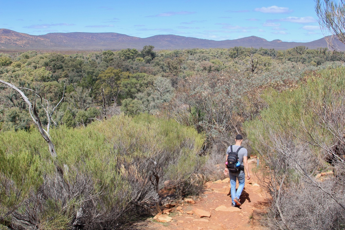 Bezoek Flinders Ranges in Zuid-Australie