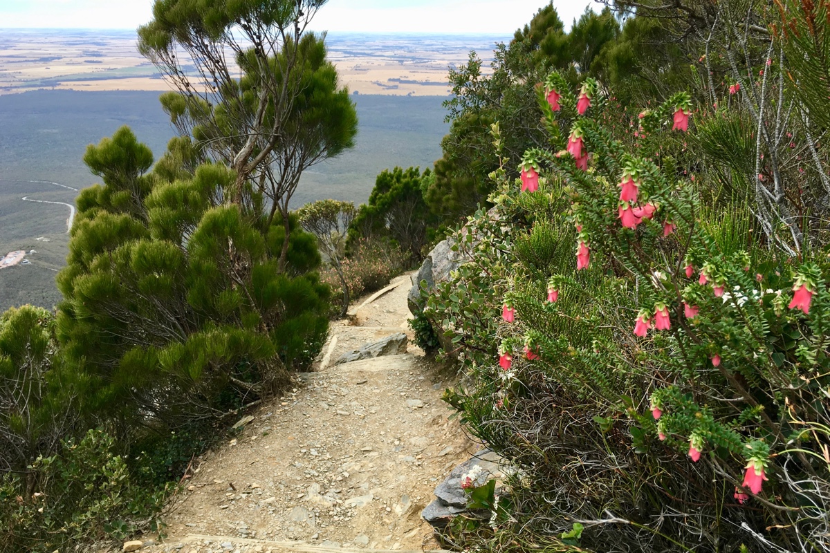 De ideale route van Perth naar Esperance: wandel Bluff Knoll in Stirling Ranges National Park