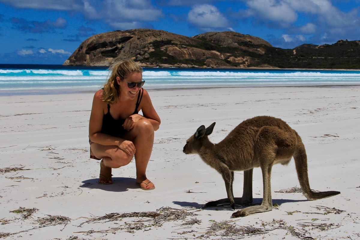 En kangoeroe behoort zeker tot de 16 unieke dieren in Australië