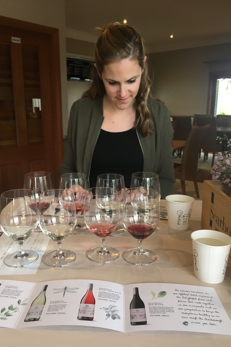 Ga wijnproeven in Hunter Valley