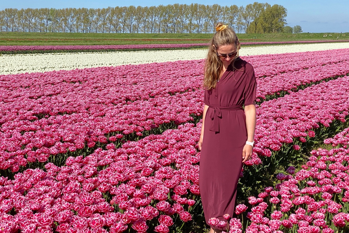 Dit zijn de prachtige tulpenvelden in provincie Groningen