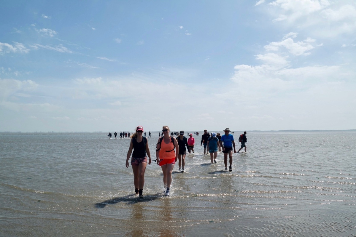 Wandel met een groep over de zeebodem naar Schiermonnikoog