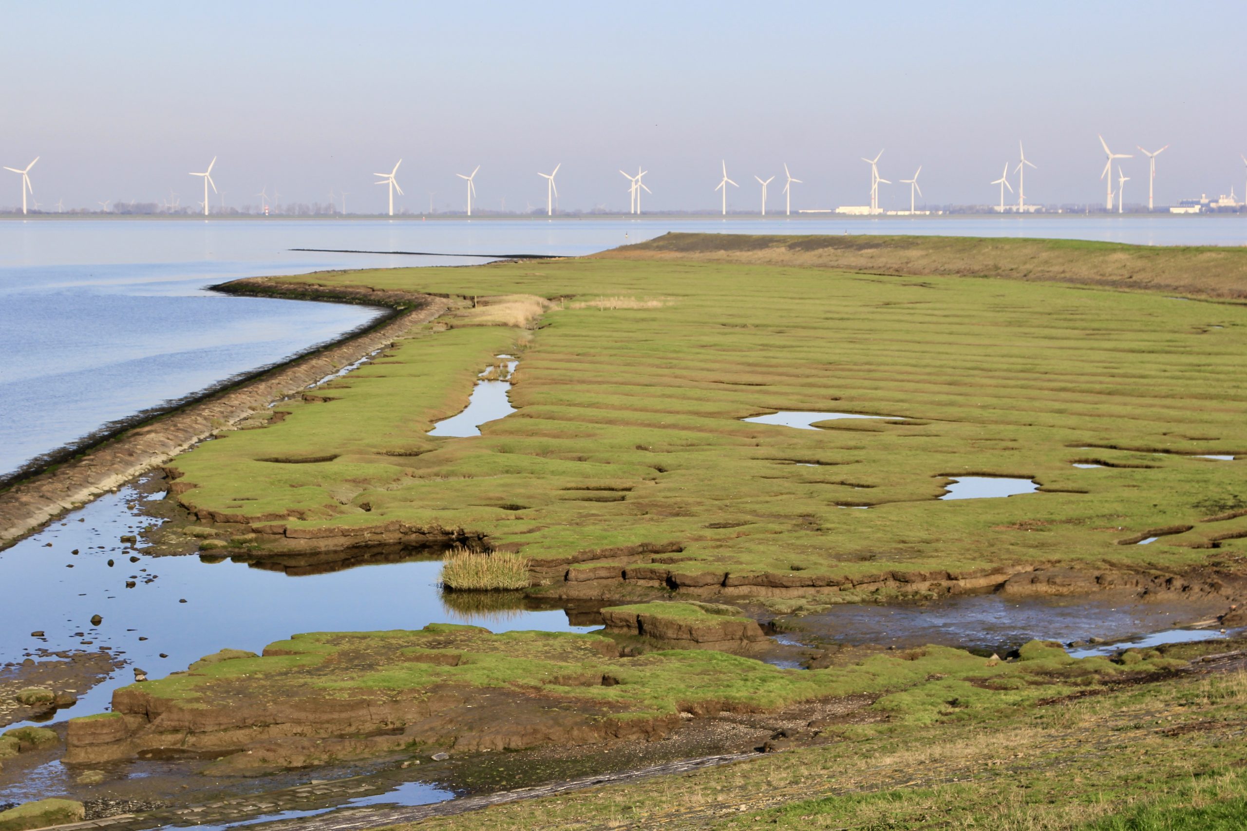 Wandelen in Groningen: mooie wandelroutes rond Groningen stad