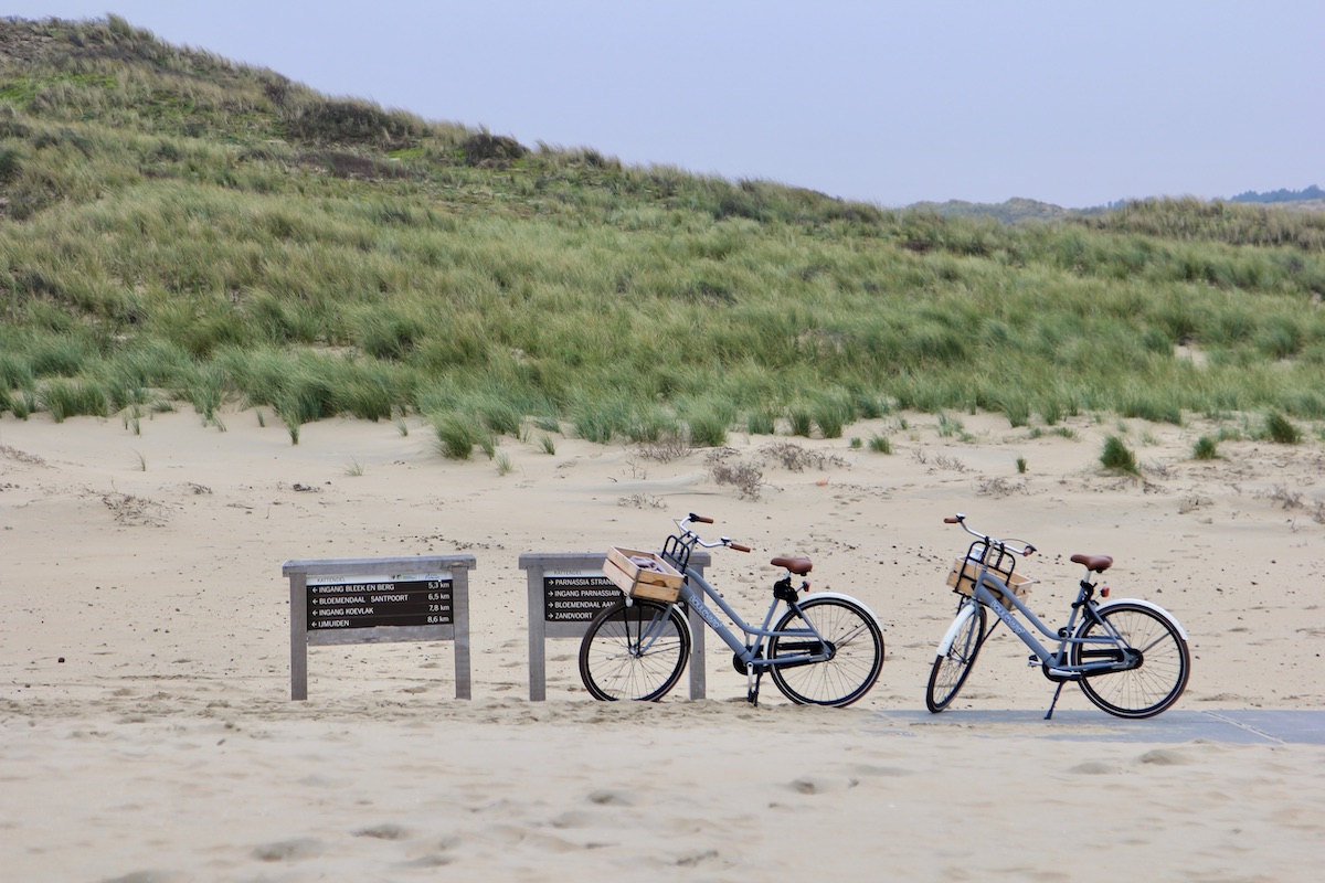 Wat te doen in omgeving Zandvoort? Ga fietsen of wandelen in Nationaal Park Zuid-Kennemerland