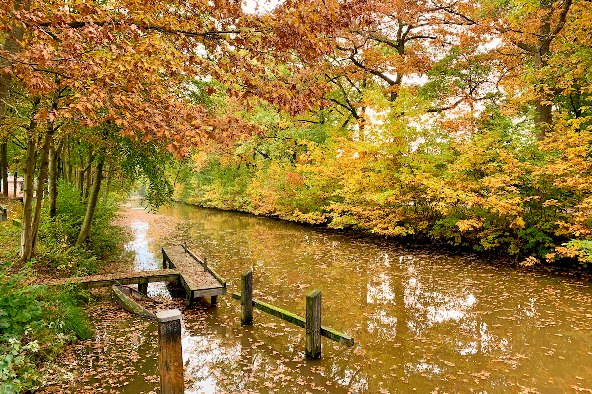 Ga wandelen in Ter Apel en bewandel het boswachterspad door de Ter Apelerbossen in Groningen