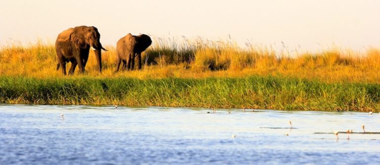 Botswana tips voor jouw reisvoorbereiding naar Afrika