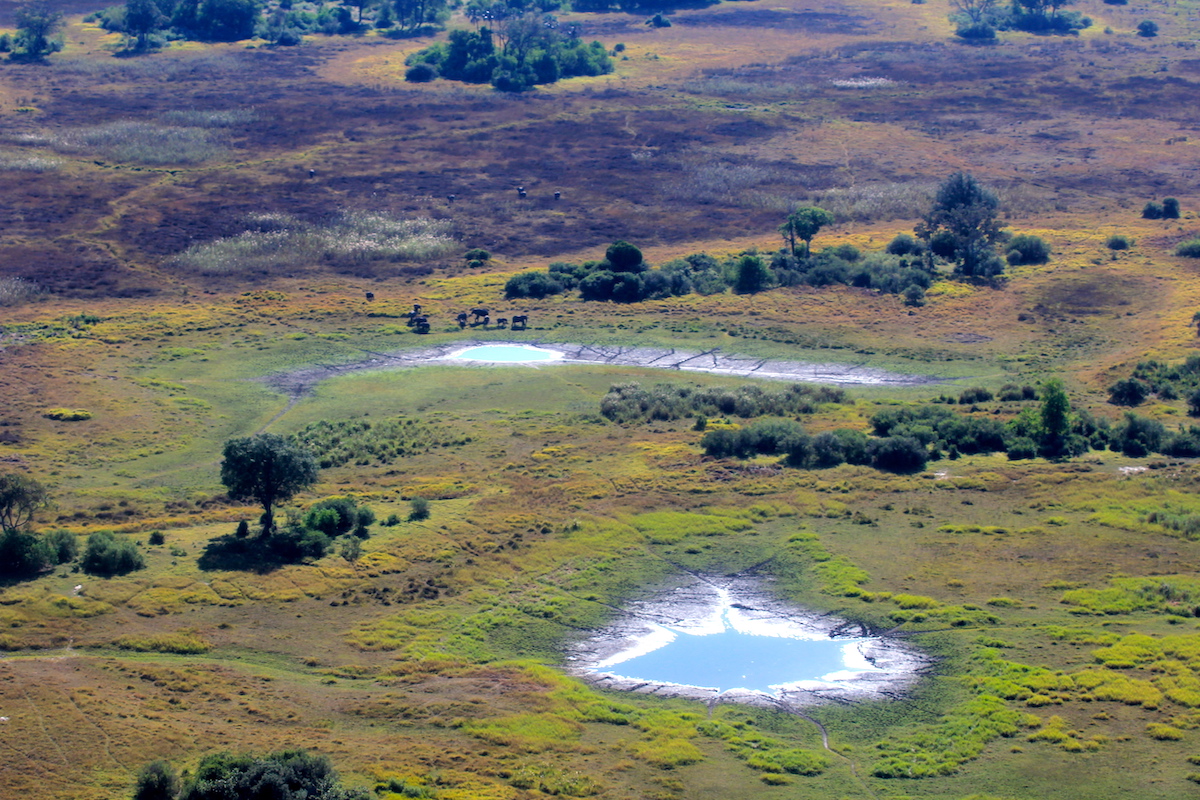 De prachtige Okavango Delta in Botswana moet op jouw bucketlist!
