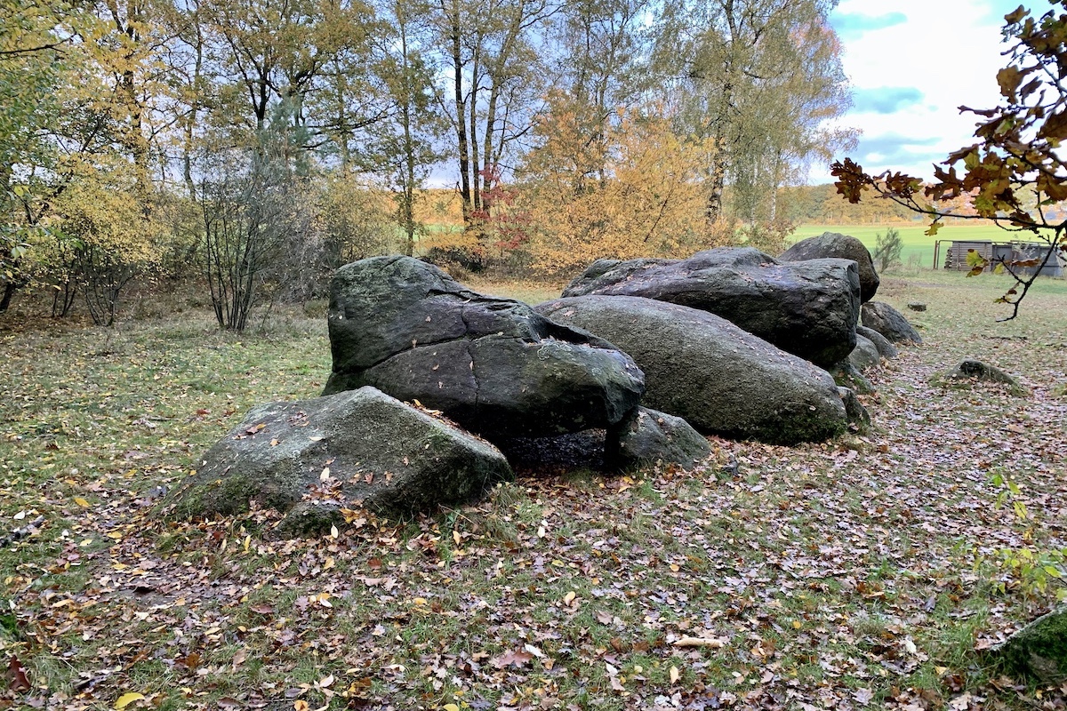 De mooiste wandelroutes rond Groningen stad: wandel op de Hondsrug in Drenthe