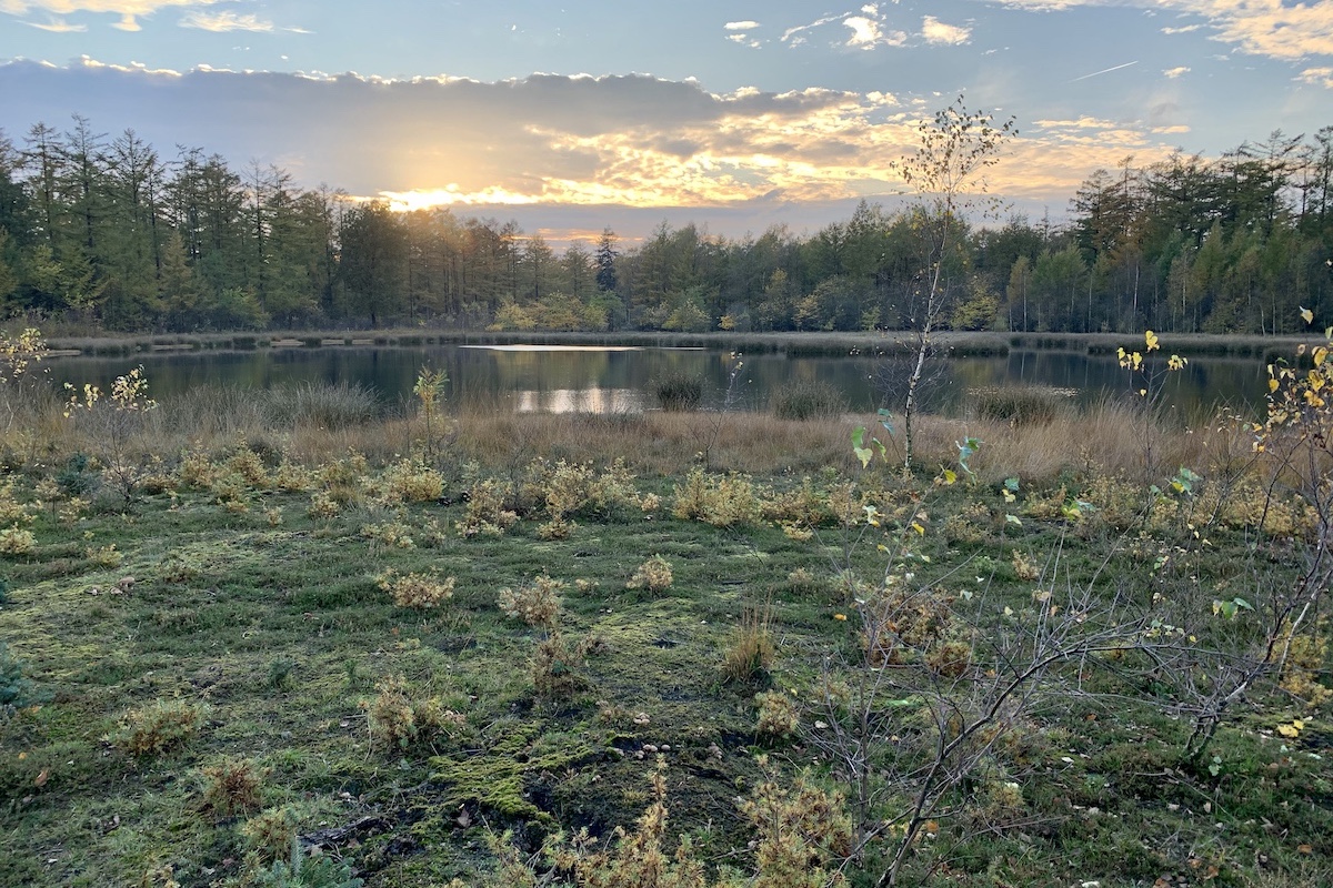 De mooiste wandelroutes rond Groningen stad: wandel op de Hondsrug in Drenthe