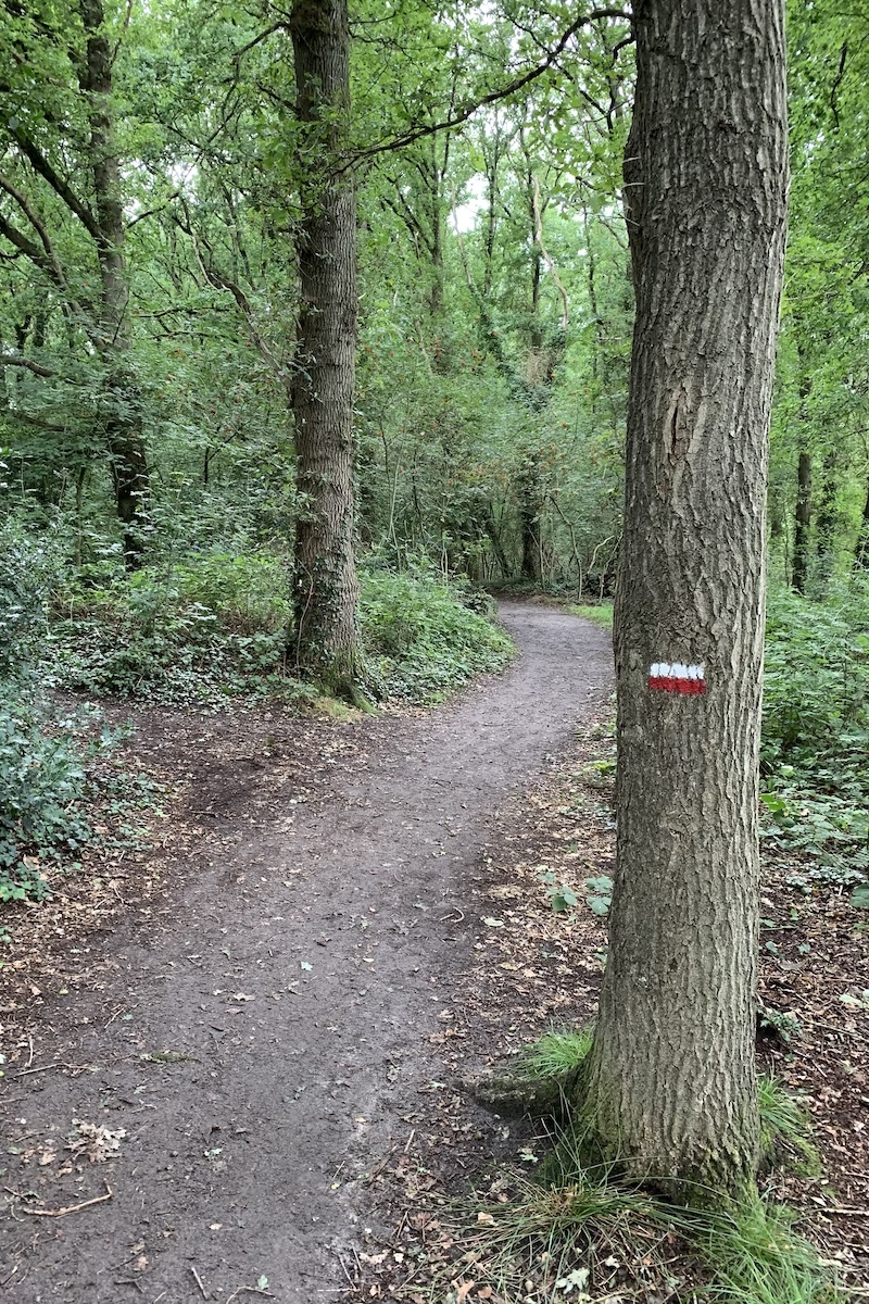 De mooiste wandelroutes rond Groningen- wandelen rond de stad Groningen doe je bij Appelbergen