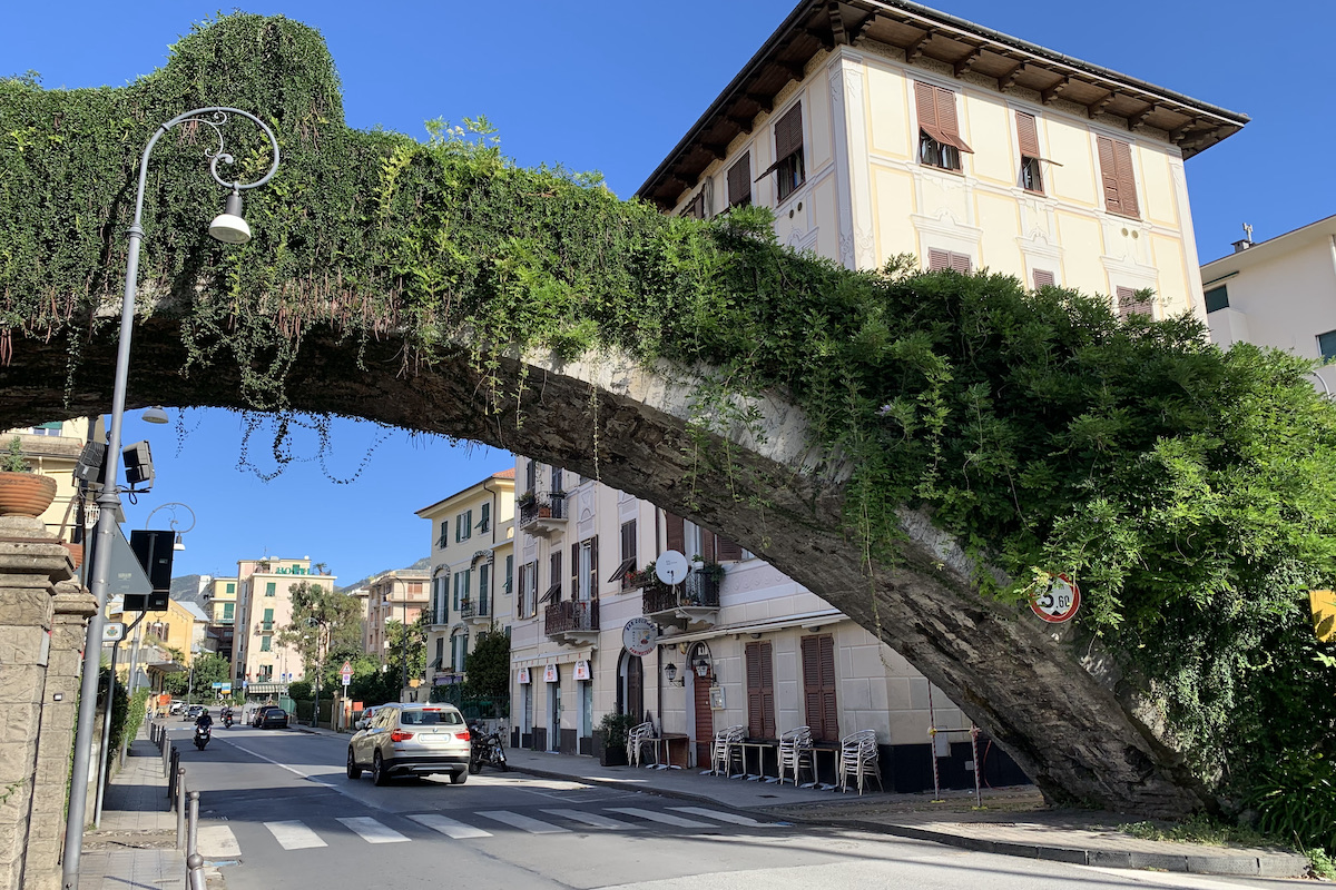 Italiaanse Bloemenrivièra: Rapallo is zeker een van de mooiste stadjes langs de Riviera di Levante