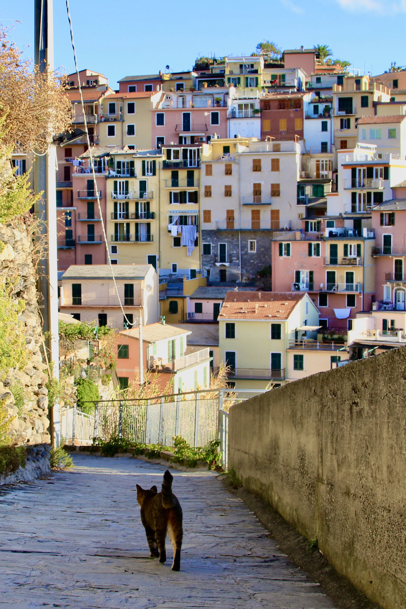 Cinque Terre is absoluut een van de mooiste plekjes van Italië