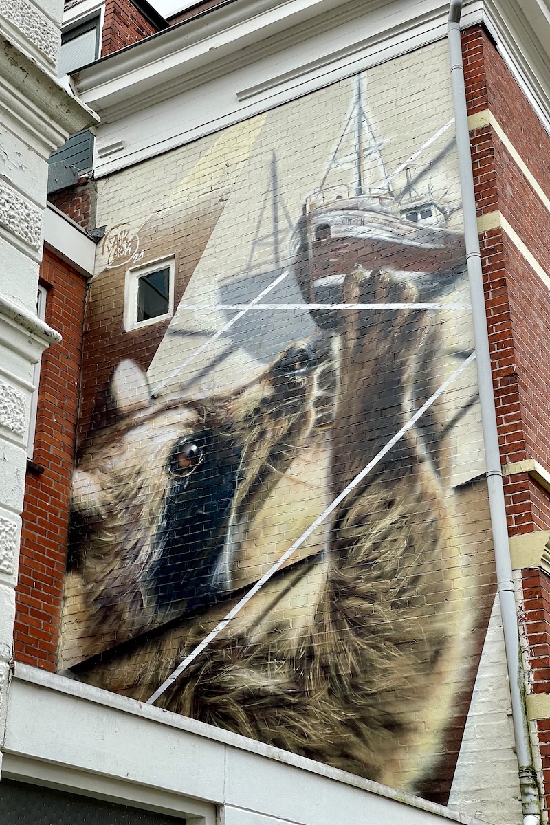 Street Art in Groningen: wandelroute langs de wasbeer aan de Winschoterkade