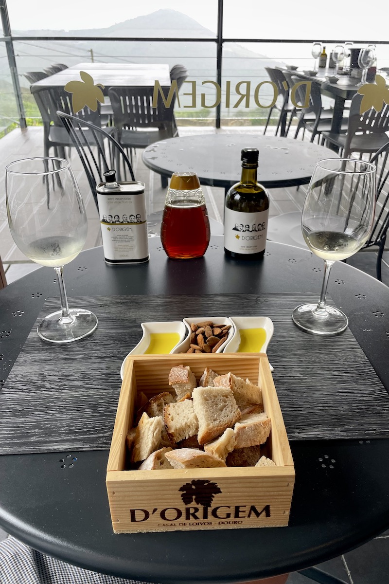 Doen in de Douro vallei, de leukste tips voor deze wijnstreek