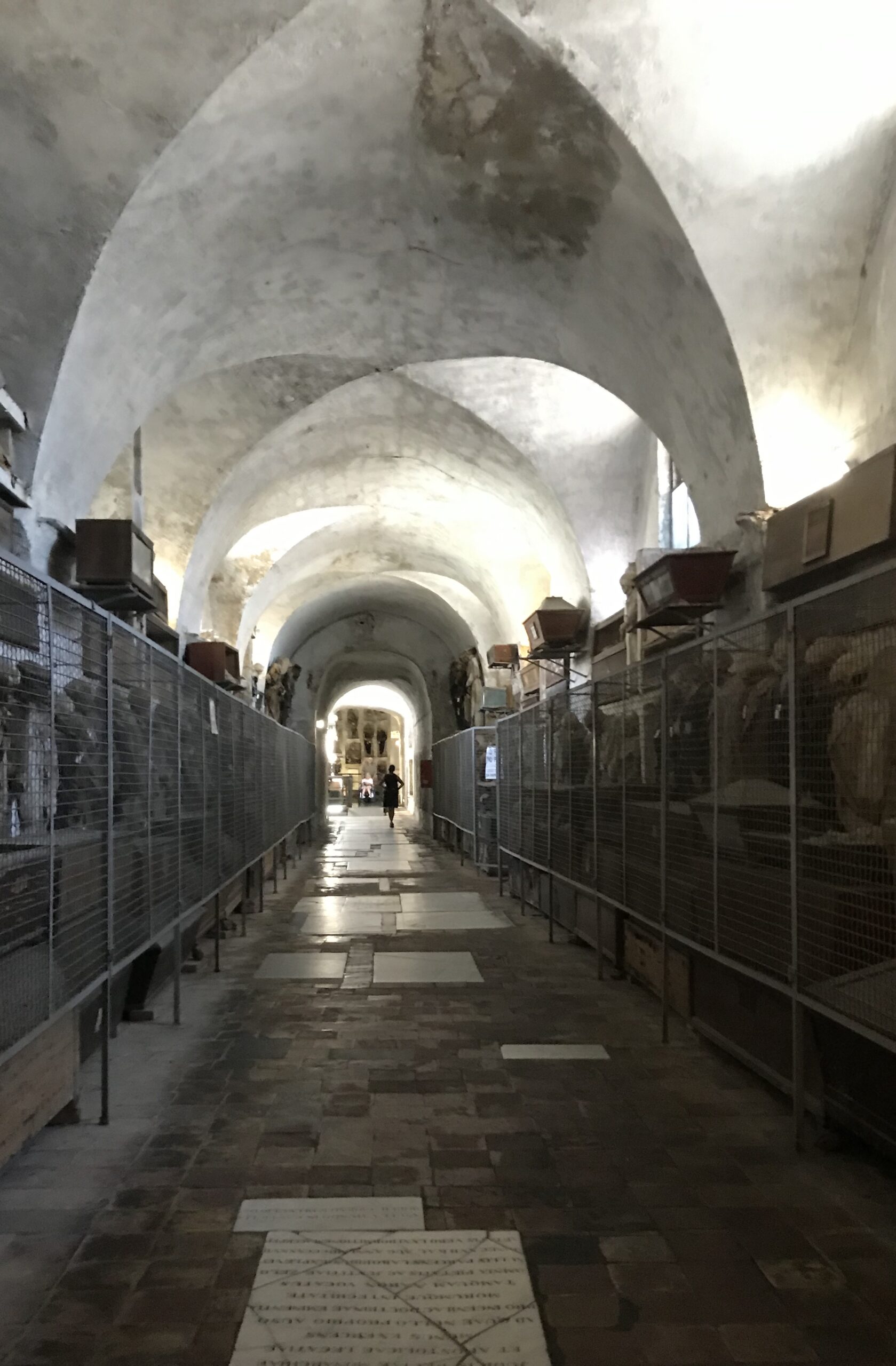 Catacombe dei Cappuccini in Palermo bezoeken