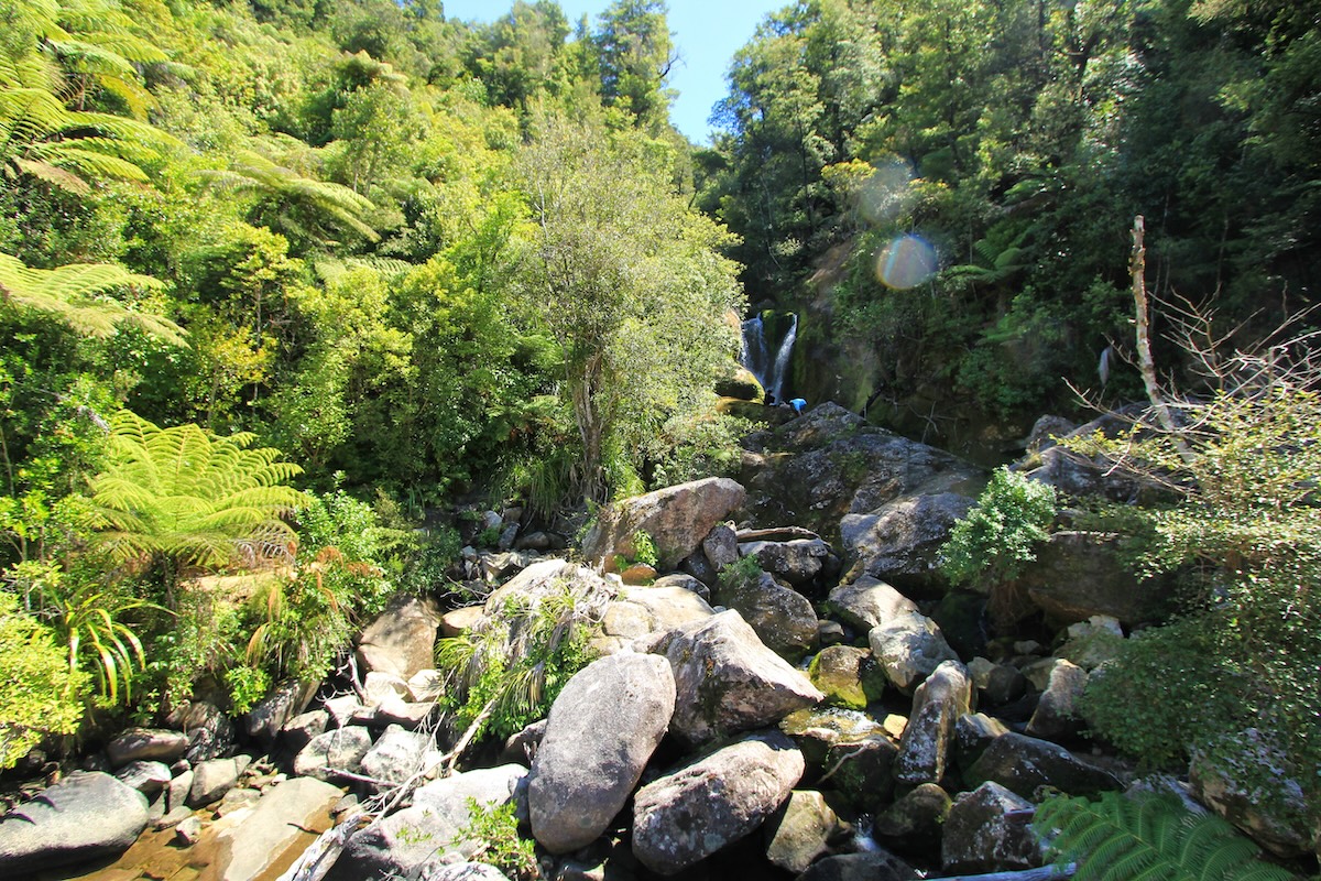 Kajakken naar Abel Tasman National Park