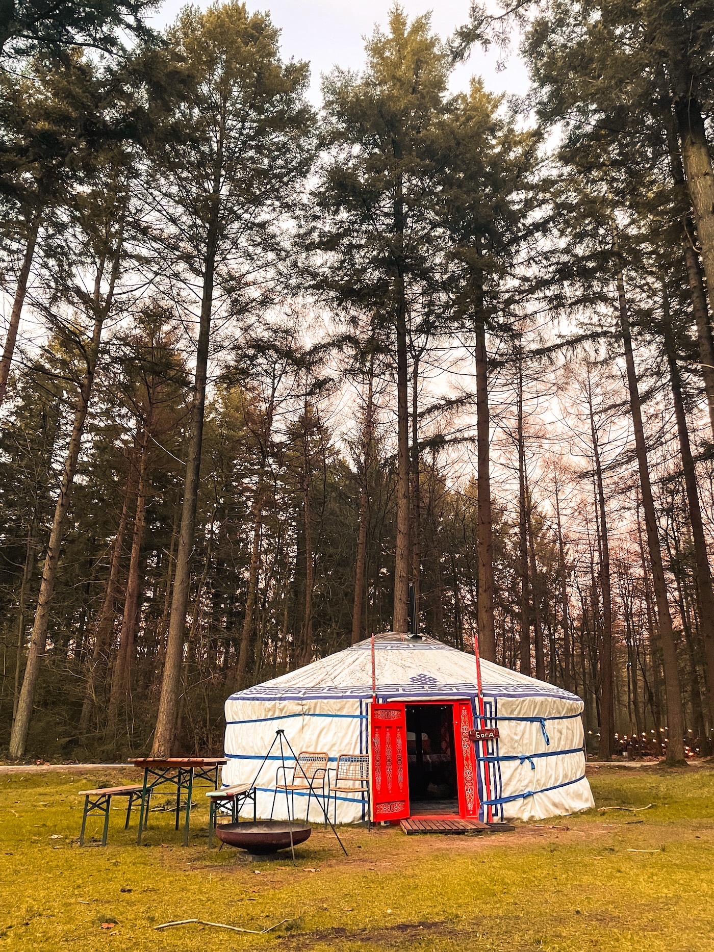 Bijzonder overnachten op Winterwoods: ga winterkamperen in de Drentse bossen