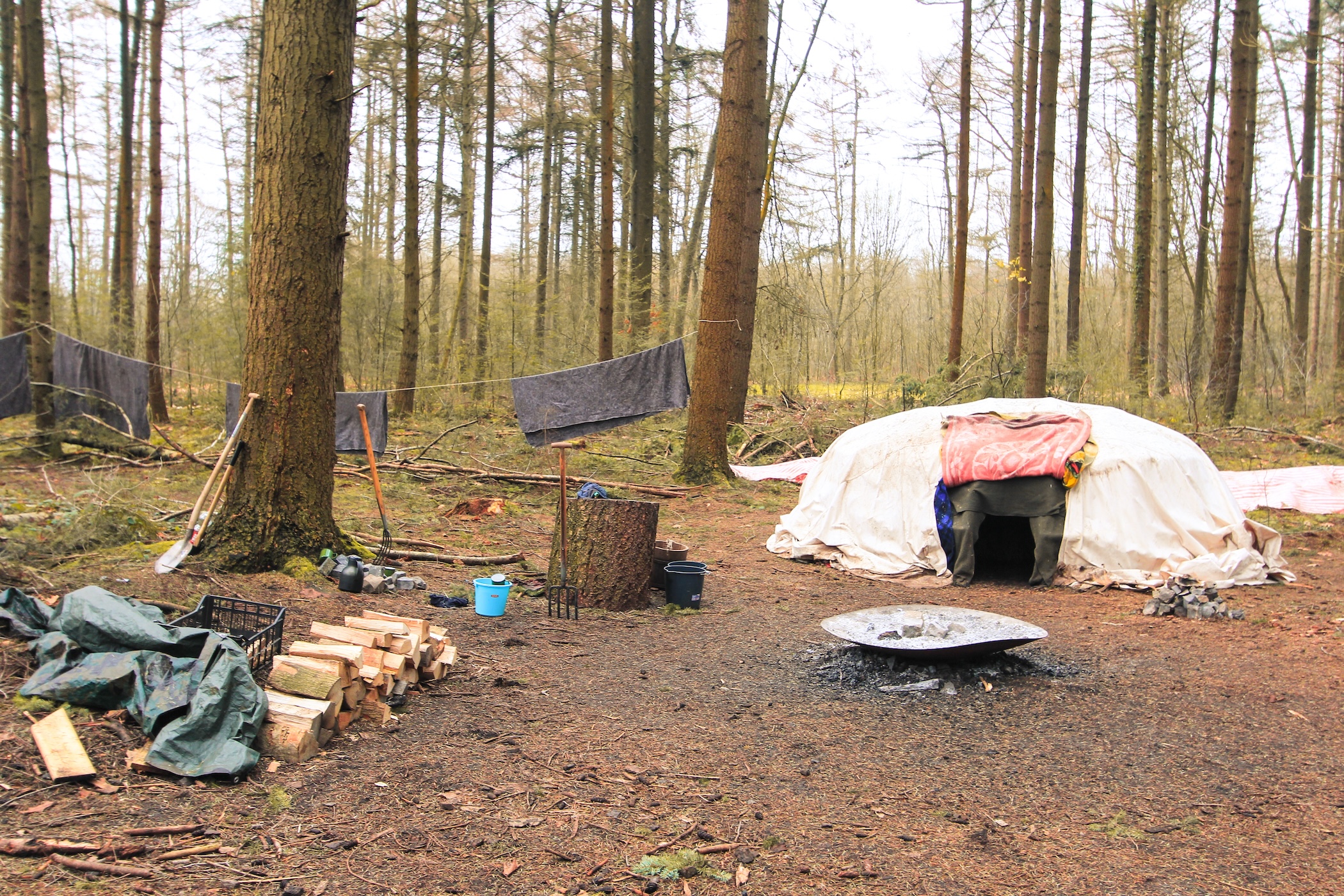 Bijzonder overnachten op Winterwoods: ga winterkamperen in de Drentse bossen