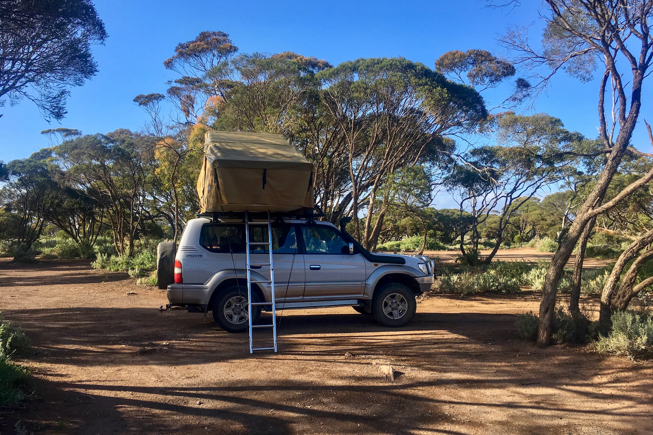 Kamperen langs de Nullabor Plain een iconische roadtrip in Zuid-Australie en een bijzondere ervaring