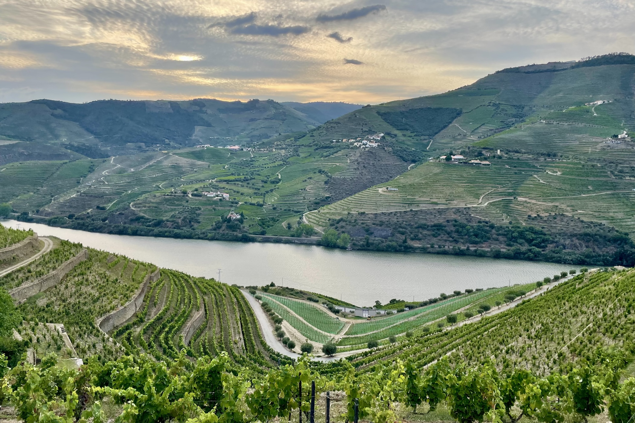 Doen in de Douro vallei de leukste tips voor deze wijnstreek