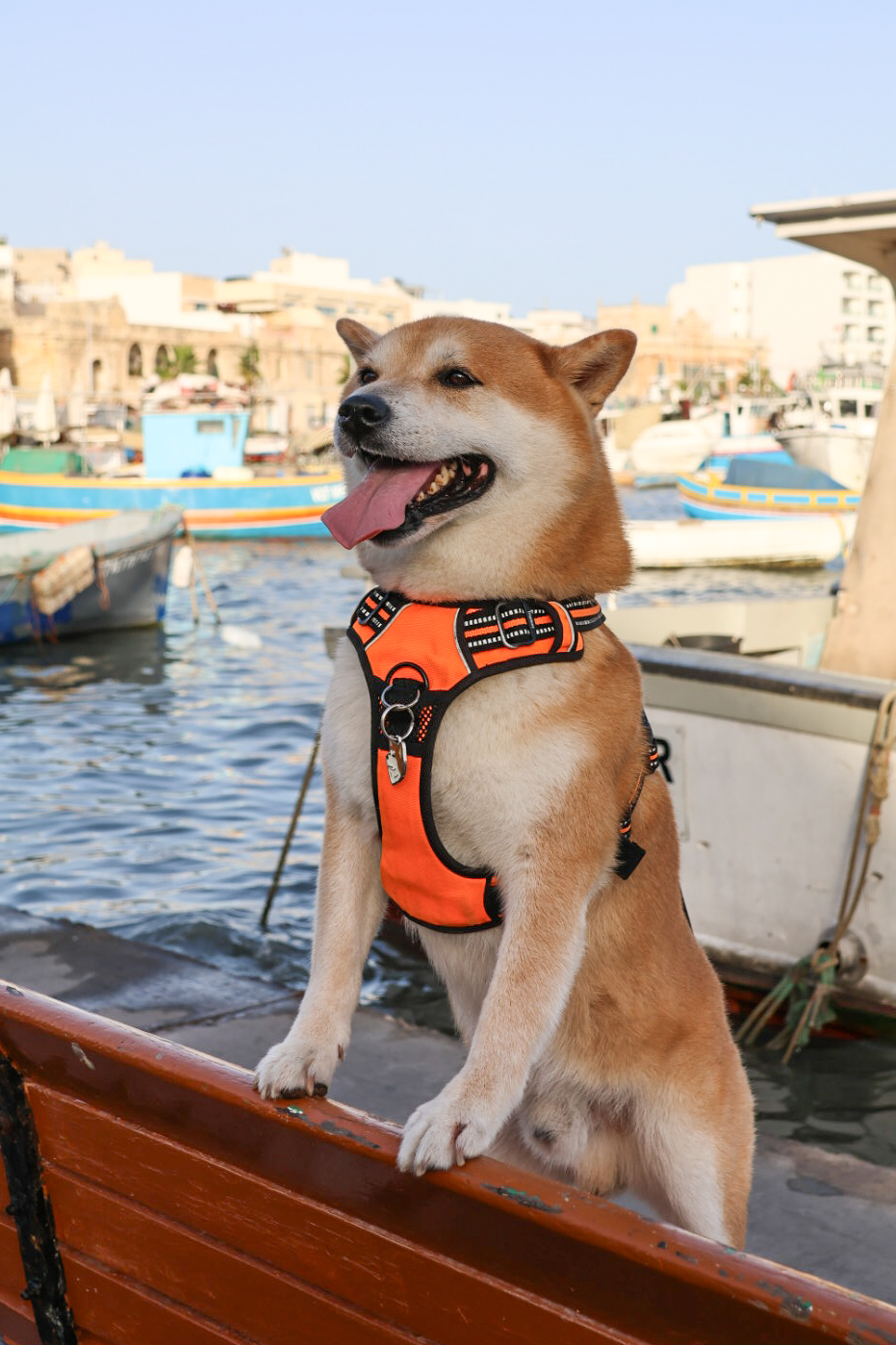 Wat te doen op Malta, de leukste tips en bezienswaardigheden