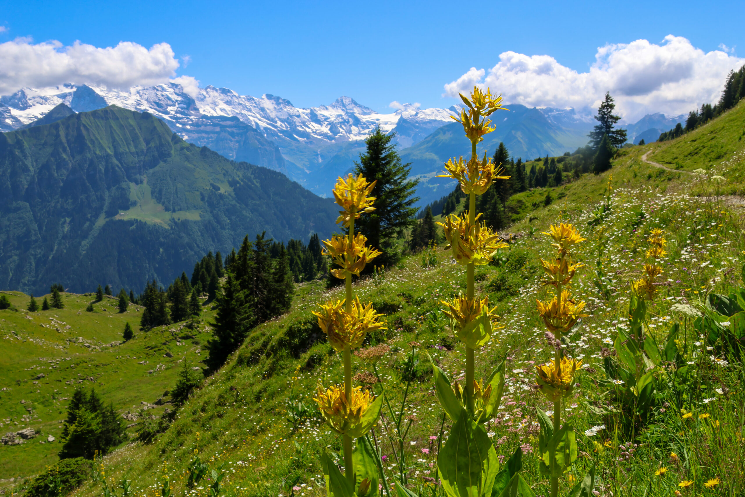 Interlaken in de zomer: 5 outdoor avonturen die je niet wilt missen